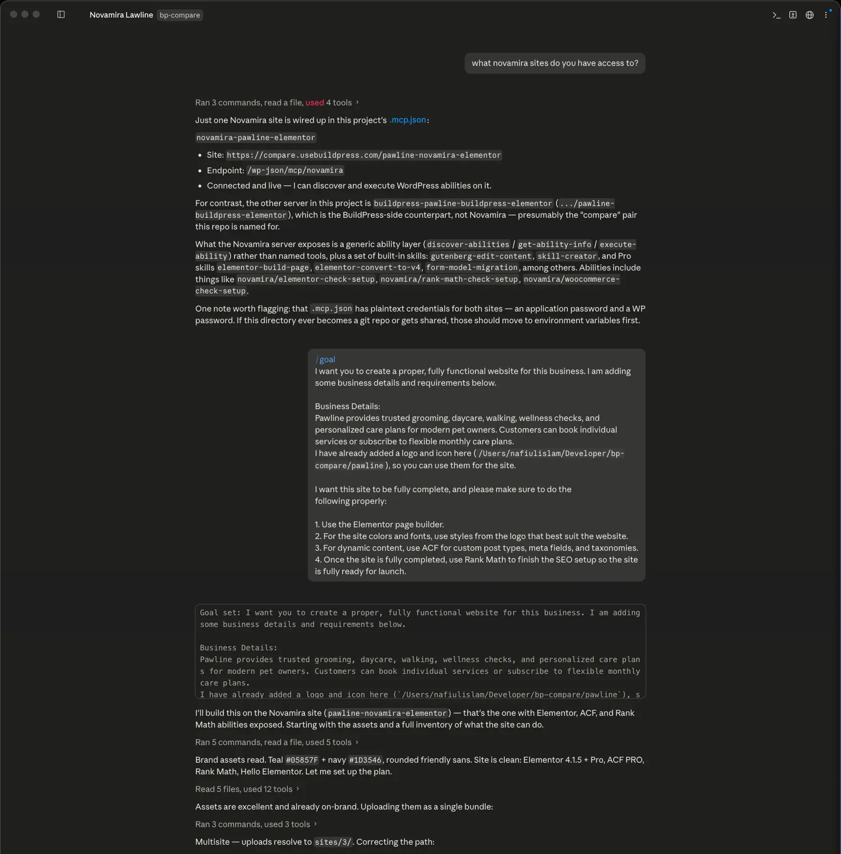 The Novamira session: the initial job and the AI working